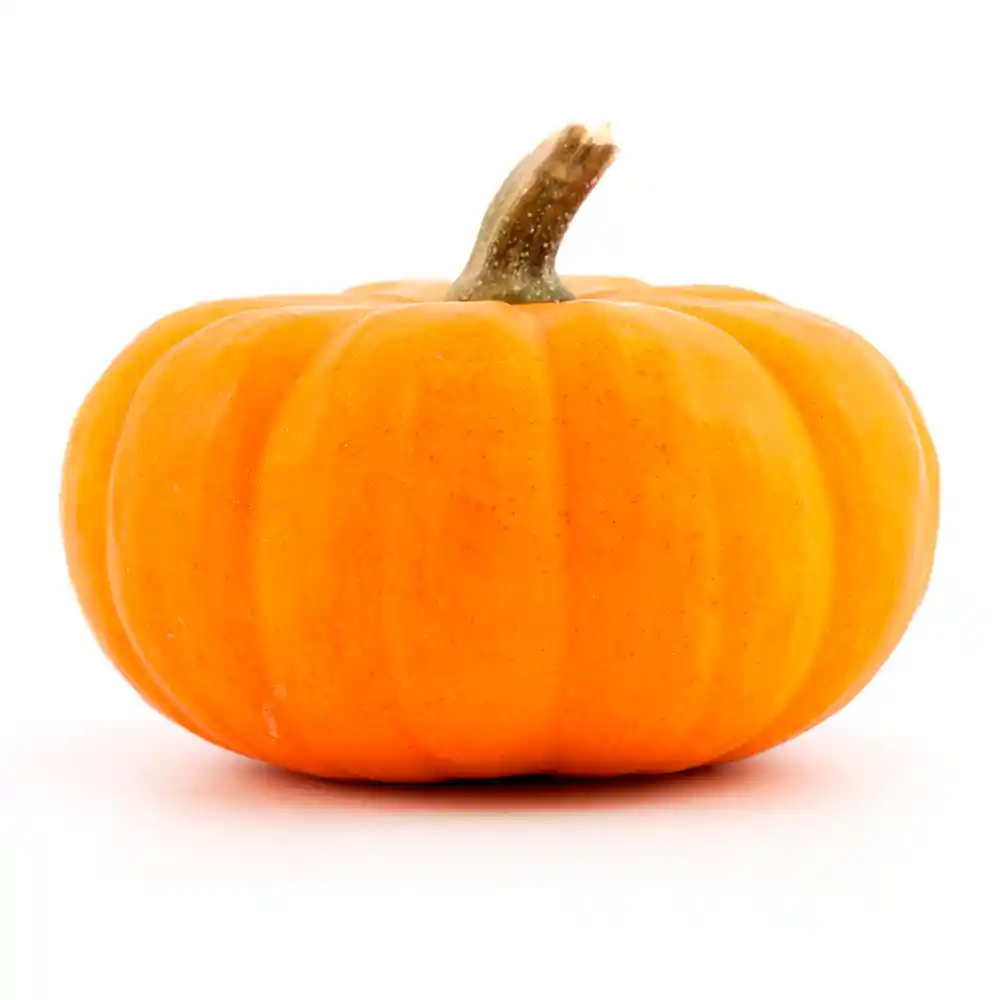 Calabaza Halloween Fruver