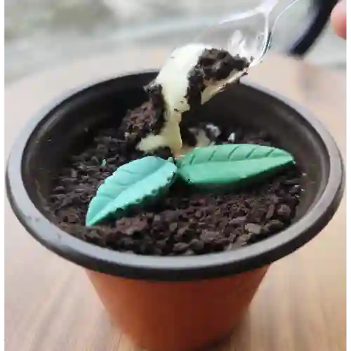 Postre Tipo Planta