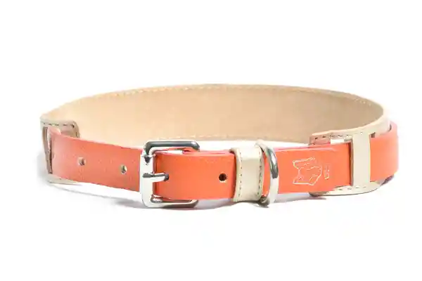 OBI Pets Splies Greta 25 mm Mandarina L