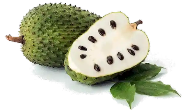 Guanabana