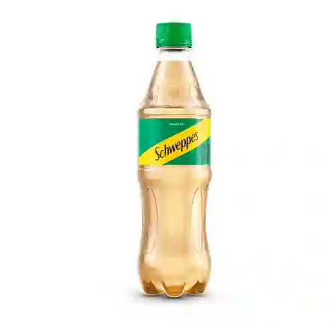 Ginger 300 ml