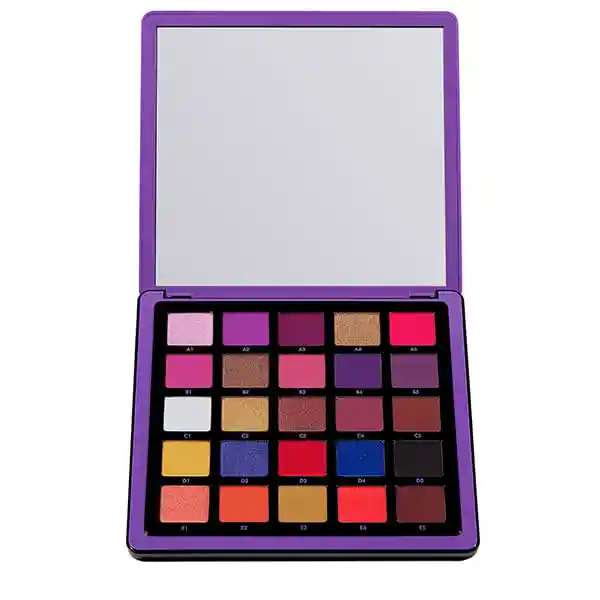 ANASTASIA Norvina Pro Palette Vol 1