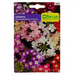 200 Semillas Orgánicas De Flor Verbena