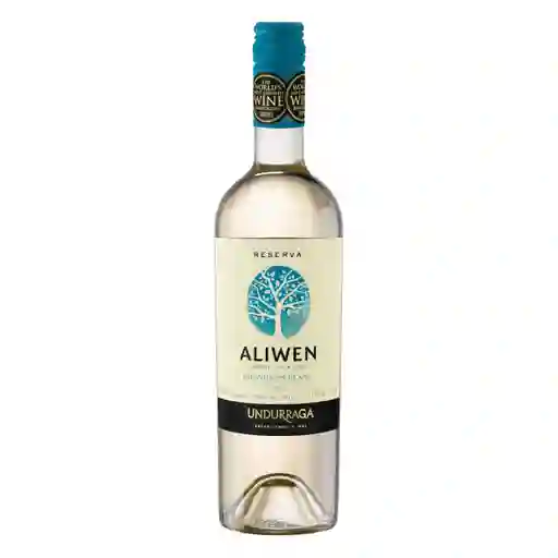 Aliwen Vino Blanco Sauvignon Blanc
