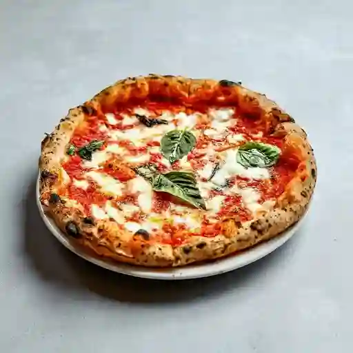 Pizza Sencilla Margarita Extra Grande 10P
