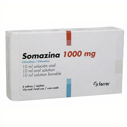 Somazina Biotoscana Farma 1000 Mg Sol Oral 6 Sbs A Pdb