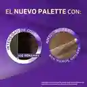 Tinte Palette Color Creme 4-89 Borgoña Intenso