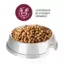 Mirringo Alimento para Gatos Adultos Cuidado Urinario +Pro