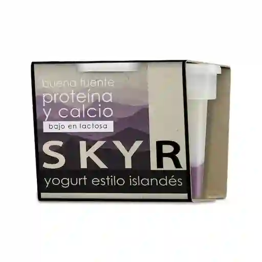 Dejamu Yogurt Skyr Mora