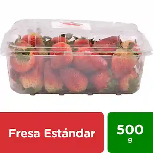 Fresas Fresca Estándar