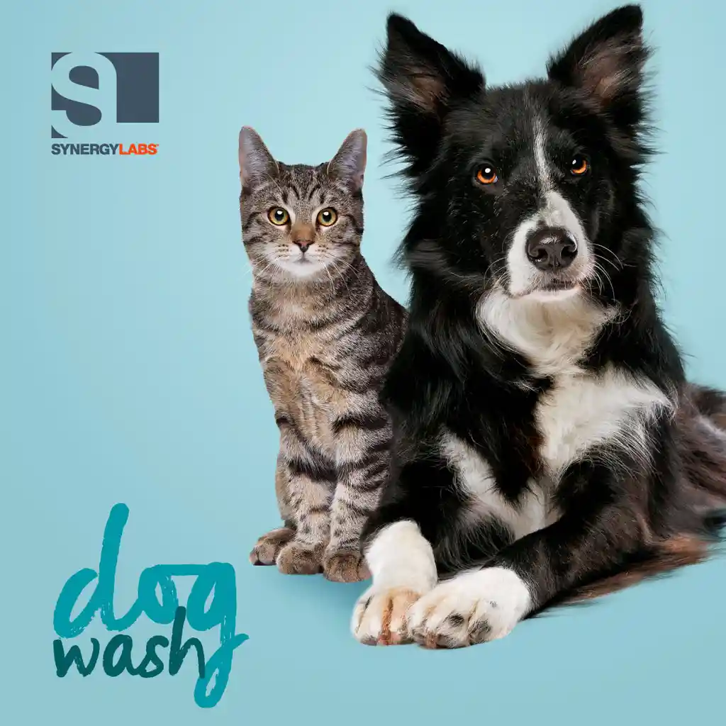 Dog Wash Acondicionador de Avena para Perro Alivia la Picazón