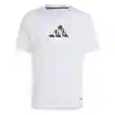 Adidas Camiseta D Wogfx Tee Hombre Blanco Talla S IL1389