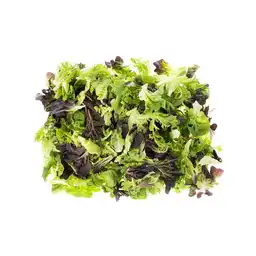 Ensalada Green 500 G / 1.1 Lb