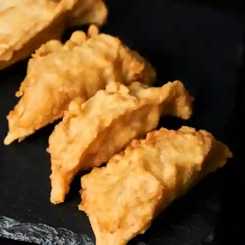 Gyozas Empanaditas Chinas
