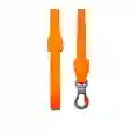 Zeedog Correa Para Perro Neopro Tangerine Talla S