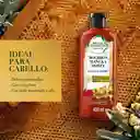 Shampoo Herbal Essences Bio:Renew Bourbon Miel de Manuka Champu 400 ml