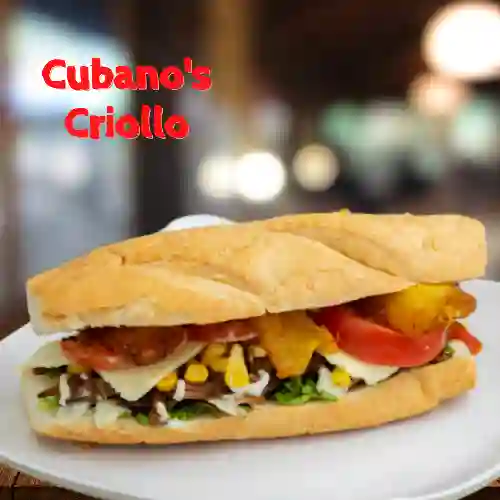 Sandwich - Criollo