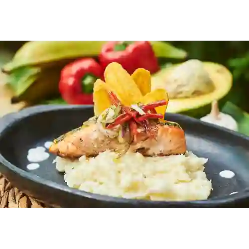 Salmón Caribe
