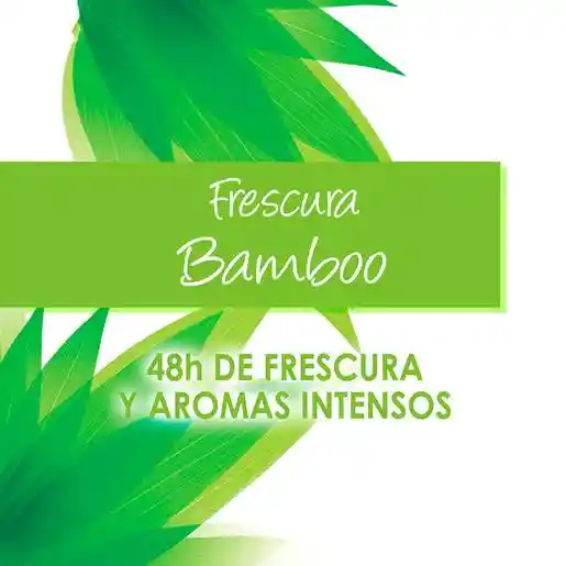 Garnier-Obao Desodorante Bamboo Roll-On