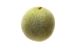 Melón Caribeam