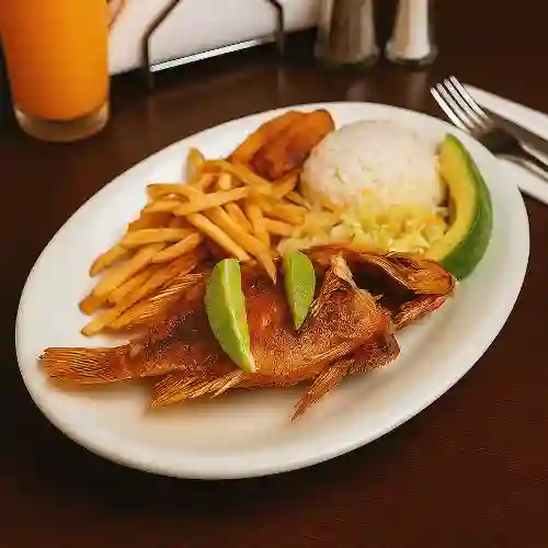 Mojarra Ejecutiva