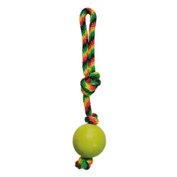 Argos Juguete Perro Pelota Lazo Maciza 20669
