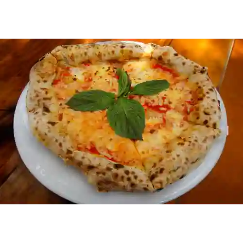 Pizza Margherita