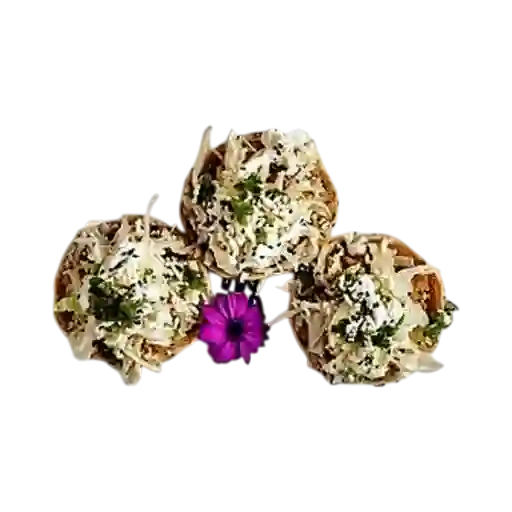 Sopes Pellizcados
