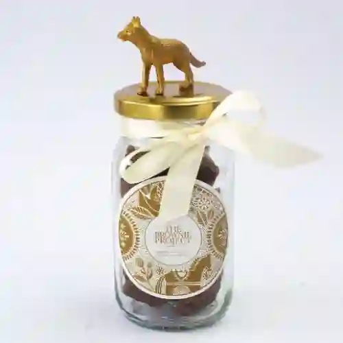 Project Jar