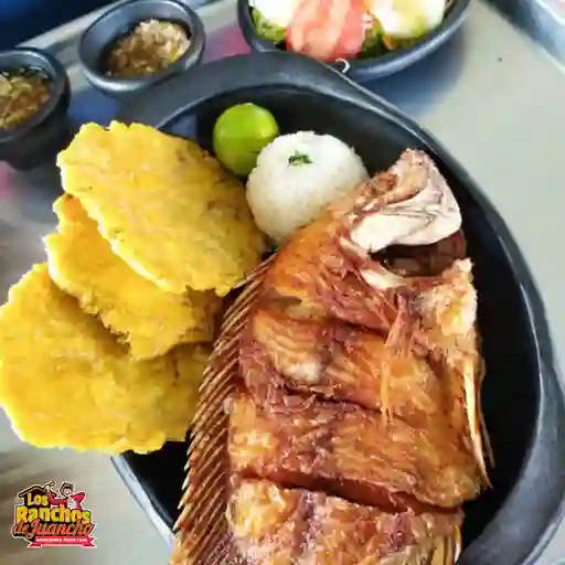 Mojarra frita