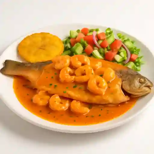 Trucha en Salsa de Camarón