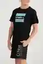 ONeill Camiseta Slim Fit Falir Masculino Negro L