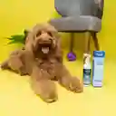 LuloPet Training Protector Dog y Puppy para Perro - 250 ml