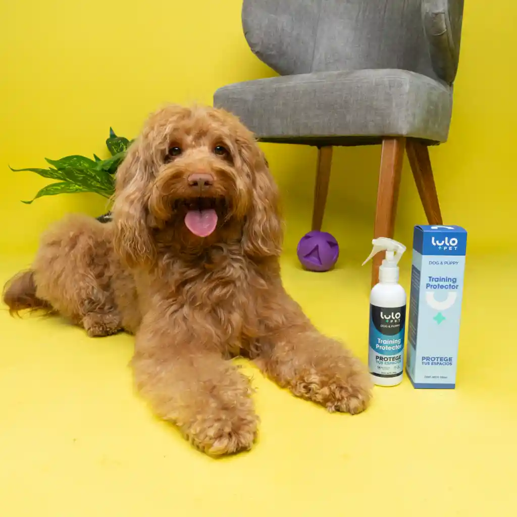 LuloPet Training Protector Dog y Puppy para Perro - 250 ml