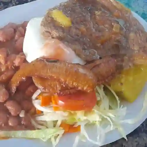 Bandeja Posta