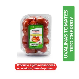 Euro Semillas Uvalina Tomates Tipo Cherry