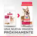 Hills Alimento Para Perro Adulto 35 Lb