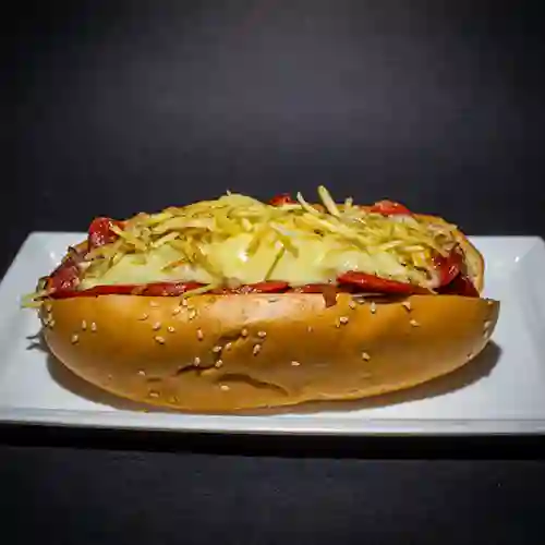 Choriperro monarca