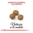 Royal Canin Alimento para Perro Cachorro Raza Gigante