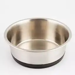 Pets Collection Comedero Perro Acero Inoxidable 17 x 6.5 cm