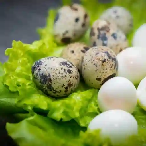 Huevo de codorniz (5)