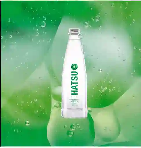 Agua con Gas 300 ml