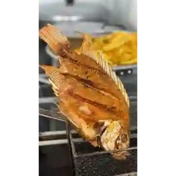 Pargo Frito