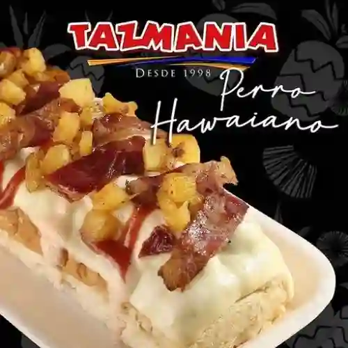 Perro Hawaiano
