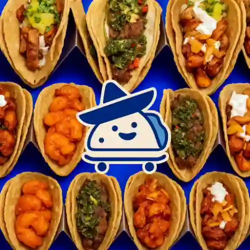 Taquiza Gourmet X 12