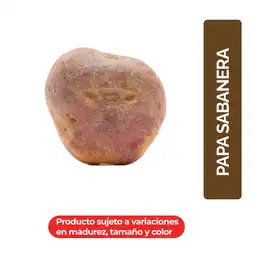 Papa Sabanera Exito