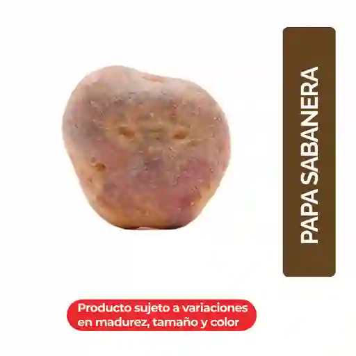 Papa Sabanera Exito