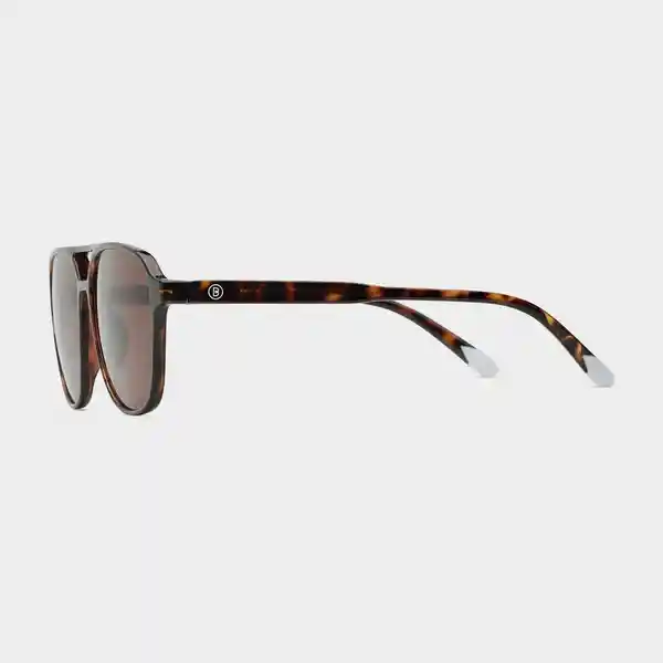 Barner Gafas Sun Brad Carey