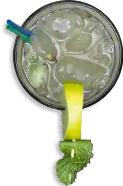 Mojito Normal