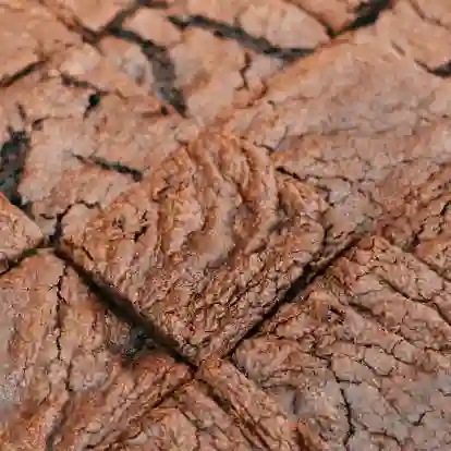 Promo Mini Brownie X12